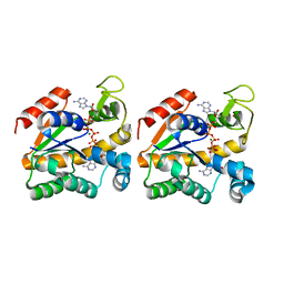 Molmil generated image of 2ori
