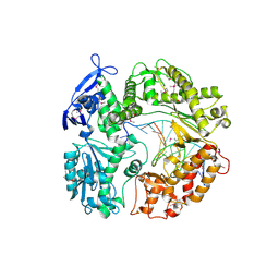 Molmil generated image of 2p5o