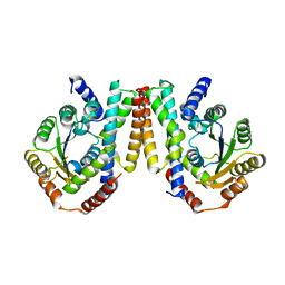 Molmil generated image of 2p5t