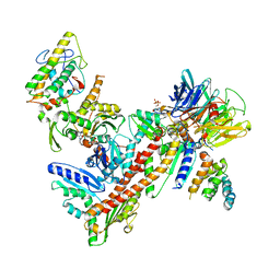 Molmil generated image of 2p9n
