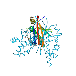 Molmil generated image of 2qg8