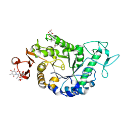 Molmil generated image of 2qpu