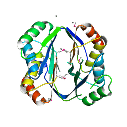 Molmil generated image of 2re1
