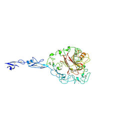 Molmil generated image of 2rhp