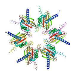 Molmil generated image of 2ux0