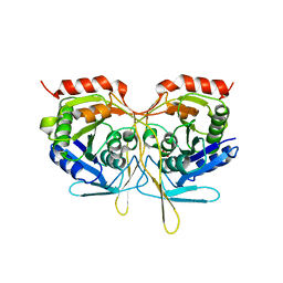 Molmil generated image of 2v4o