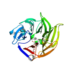 Molmil generated image of 2v91