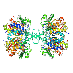 Molmil generated image of 2vu1