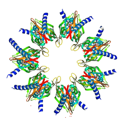 Molmil generated image of 2w2c