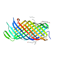 Molmil generated image of 2x56