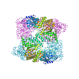 Molmil generated image of 2xak