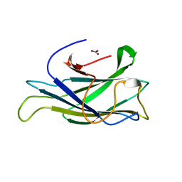 Molmil generated image of 2xbt