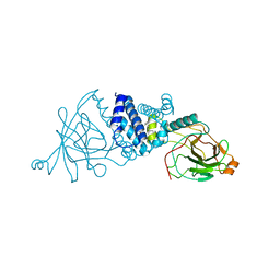 Molmil generated image of 2xsv
