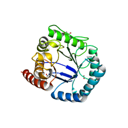 Molmil generated image of 2y5j