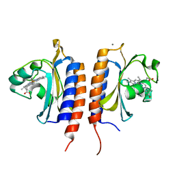 Molmil generated image of 2y8h