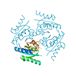 Molmil generated image of 2z08