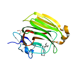 Molmil generated image of 2zac