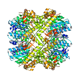 Molmil generated image of 2zl2