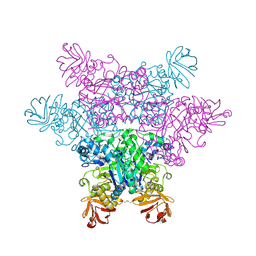 Molmil generated image of 2zx6