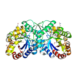 Molmil generated image of 3b4y