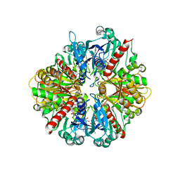 Molmil generated image of 3dmt