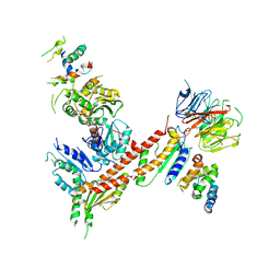 Molmil generated image of 3dwl