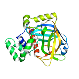Molmil generated image of 3e4y
