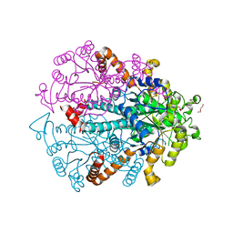 Molmil generated image of 3eol