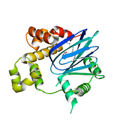 Molmil generated image of 3gbg
