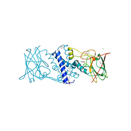 Molmil generated image of 3hhy