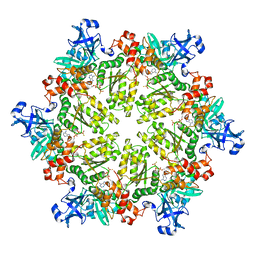Molmil generated image of 3hu2