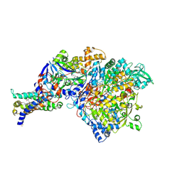 Molmil generated image of 3ir6