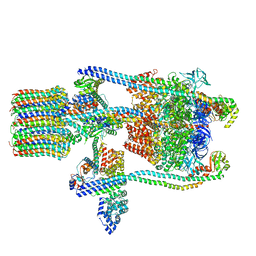 Molmil generated image of 3j9t