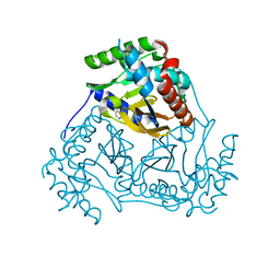 Molmil generated image of 3l60
