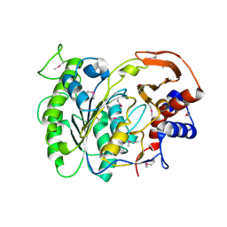 Molmil generated image of 3lxq