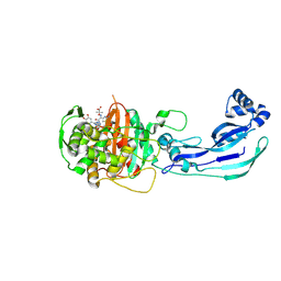 Molmil generated image of 3pbt