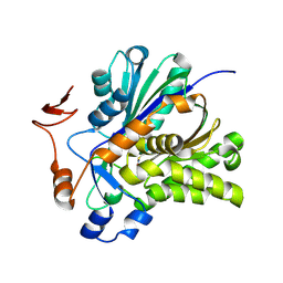 Molmil generated image of 3v4n