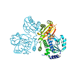 Molmil generated image of 3w5w