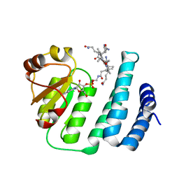 Molmil generated image of 3whp