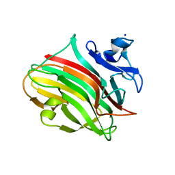 Molmil generated image of 3zpy