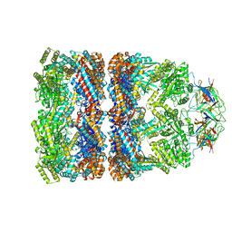 Molmil generated image of 3zpz