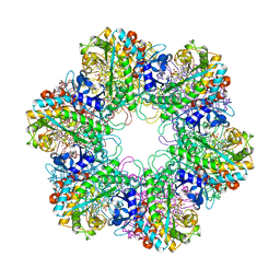 Molmil generated image of 3zxv