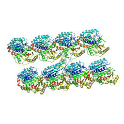 Molmil generated image of 4atu
