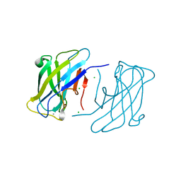 Molmil generated image of 4b96