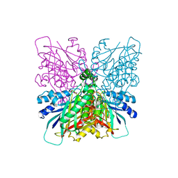 Molmil generated image of 4bvs