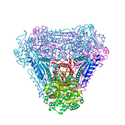 Molmil generated image of 4c21