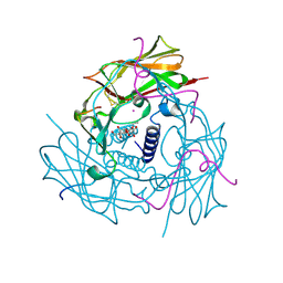 Molmil generated image of 4dxs