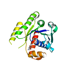 Molmil generated image of 4e03