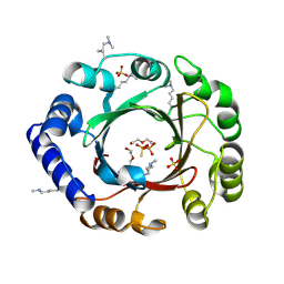 Molmil generated image of 4ee7