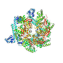 Molmil generated image of 4esv